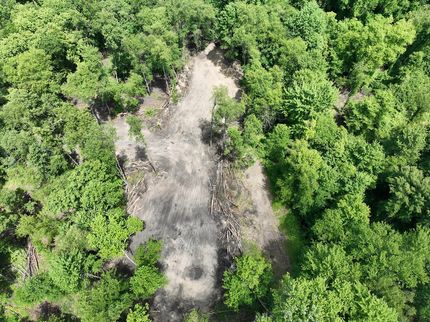 Timberland Property in Cass County, Michigan
