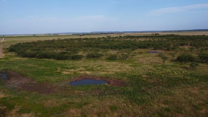 Farm and Ranch in Taylor County, Texas