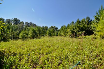 Hunting Property in Madison County, Florida