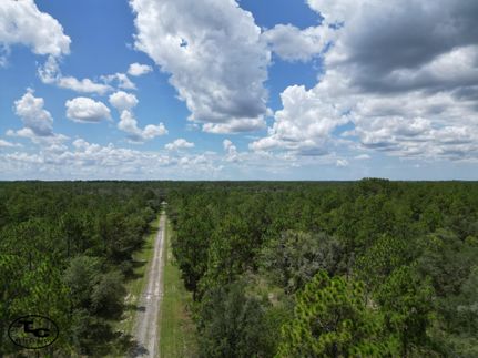 Land in Levy County, Florida