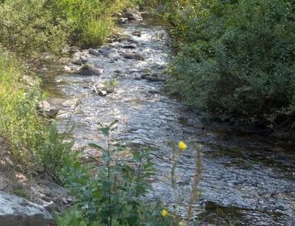 Land in Fremont County, Idaho