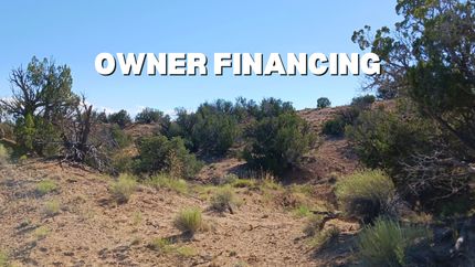 Undeveloped Land in Apache County, Arizona