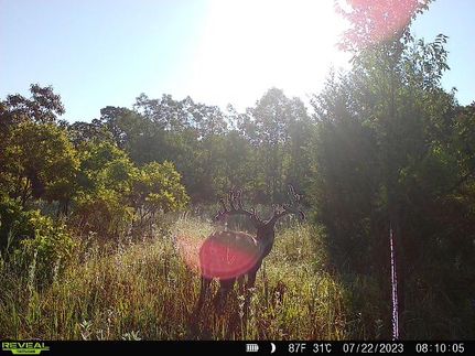 Timberland Property in Garvin County, Oklahoma