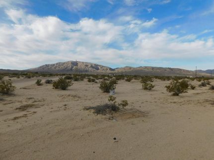 Timberland Property in San Bernardino County, California