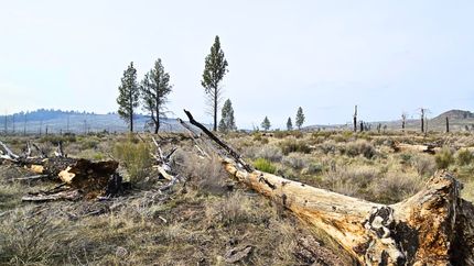 Undeveloped Land in Klamath County, Oregon