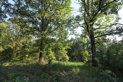 Timberland Property in Dallas County, Missouri