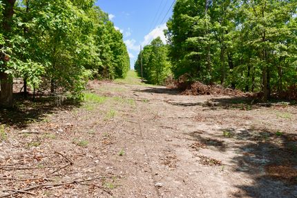 Undeveloped Land in Fulton County, Arkansas