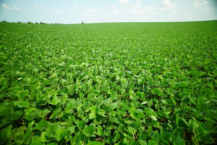 Farm and Ranch in LaSalle County, Illinois