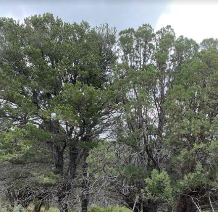 Homesite in Otero County, New Mexico