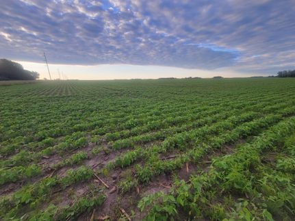 Farm and Ranch in Mower County, Minnesota