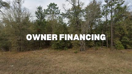 Undeveloped Land in Putnam County, Florida