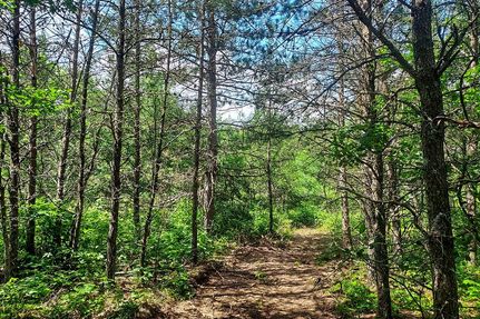 Recreational Property in Lincoln County, Wisconsin
