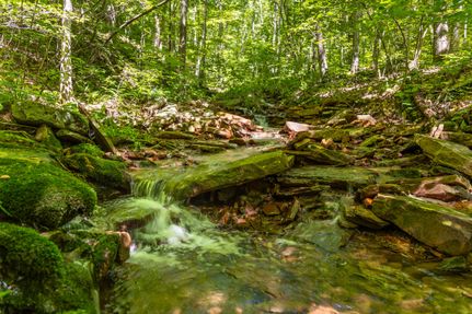 Undeveloped Land in Bledsoe County, Tennessee