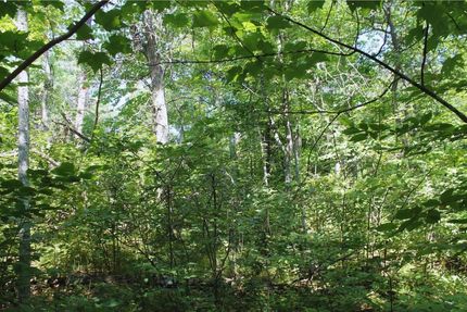 Land in Mille Lacs County, Minnesota