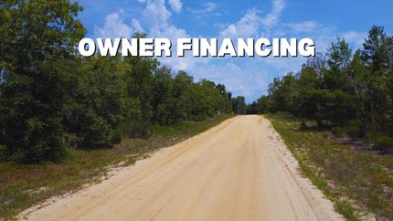 Undeveloped Land in Putnam County, Florida