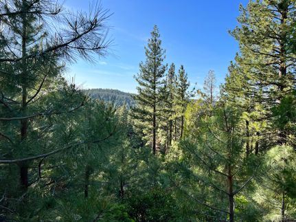 Undeveloped Land in Modoc County, California