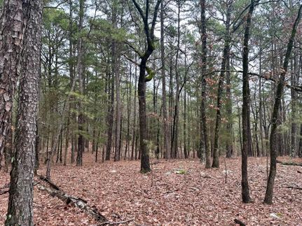 Land in Pushmataha County, Oklahoma
