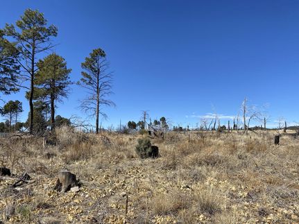 Commercial Property in Otero County, New Mexico