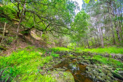 Hunting Property in Colorado County, Texas