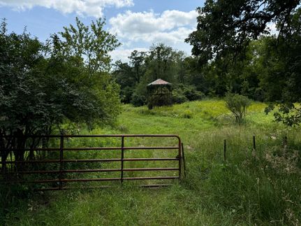 Undeveloped Land in Fillmore County, Minnesota