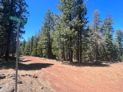 Undeveloped Land in Modoc County, California