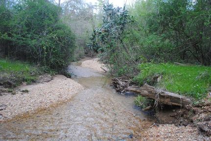 Recreational Property in Monroe County, Alabama