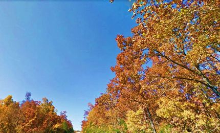 Farm and Ranch in Izard County, Arkansas