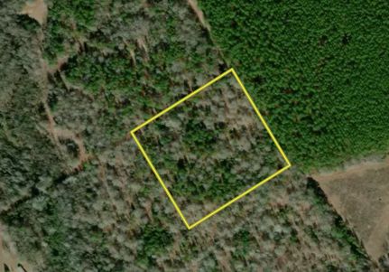 Timberland Property in Treutlen County, Georgia