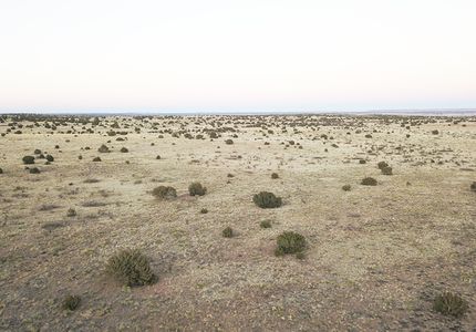 Land in Guadalupe County, New Mexico
