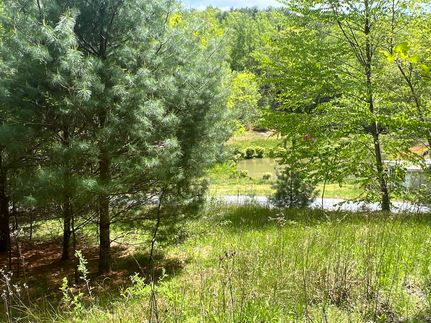 Undeveloped Land in Watauga County, North Carolina