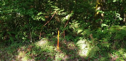 Undeveloped Land in Pierce County, Washington