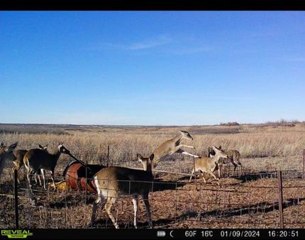Farm and Ranch in Dickens County, Texas