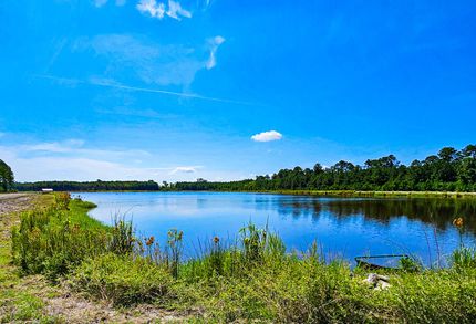 Undeveloped Land for sale in Colleton County, South Carolina