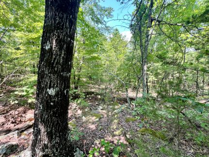 Timberland Property in Latimer County, Oklahoma