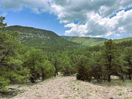 Timberland Property in Socorro County, New Mexico