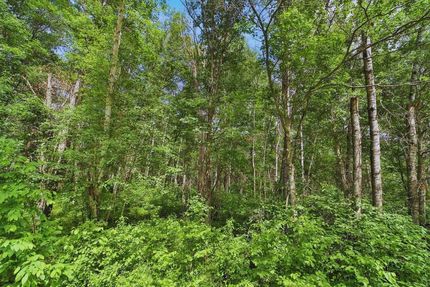 Undeveloped Land in Crow Wing County, Minnesota