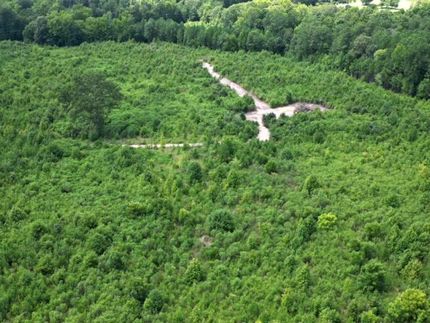 Land for sale in Saluda County, South Carolina