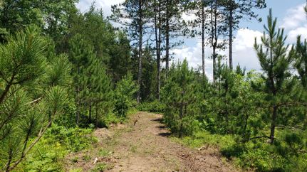 Recreational Property in Oneida County, Wisconsin