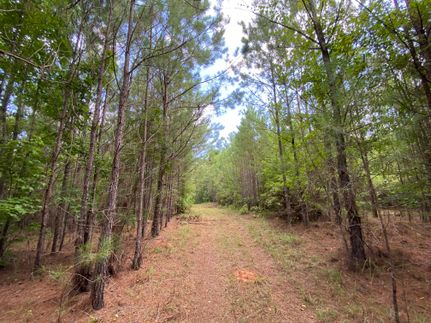Recreational Property in Lee County, Alabama
