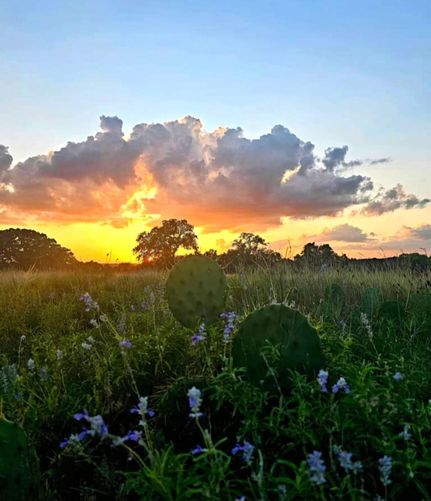 Farm and Ranch in Gillespie County, Texas