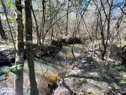 Recreational Property in Washington County, Alabama