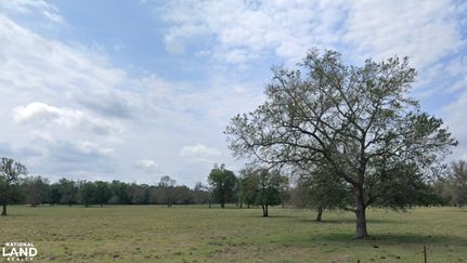 Homesite in Livingston Parish, Louisiana