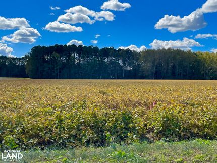Farm and Ranch in Johnston County, North Carolina