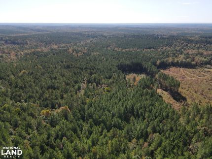 Farm and Ranch in Taliaferro County, Georgia