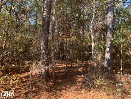 Farm and Ranch in Morehouse Parish, Louisiana