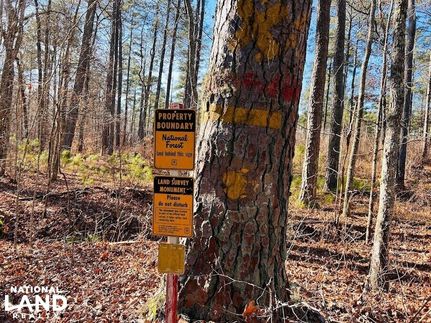Recreational Property in Cleburne County, Alabama