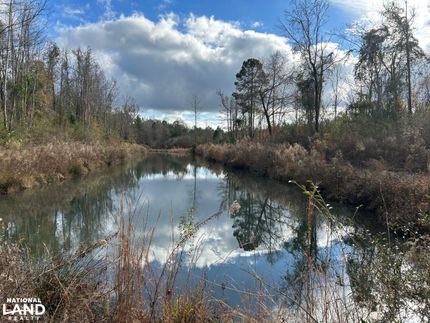 Recreational Property in Williamsburg County, South Carolina