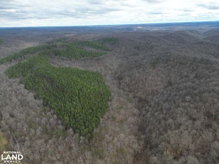 Timberland Property in Ritchie County, West Virginia