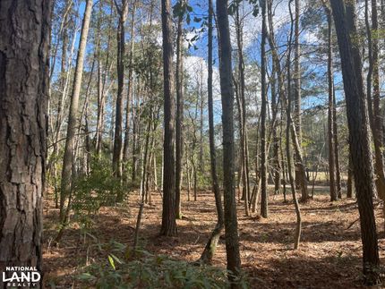 Hunting Property in Berkeley County, South Carolina