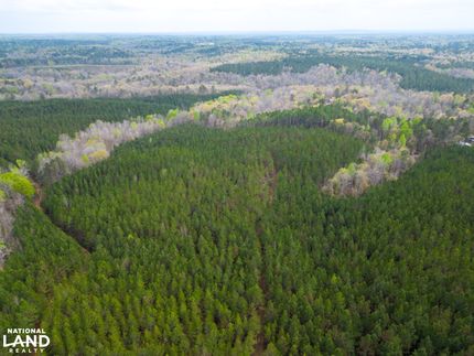 Horse Property in Elmore County, Alabama